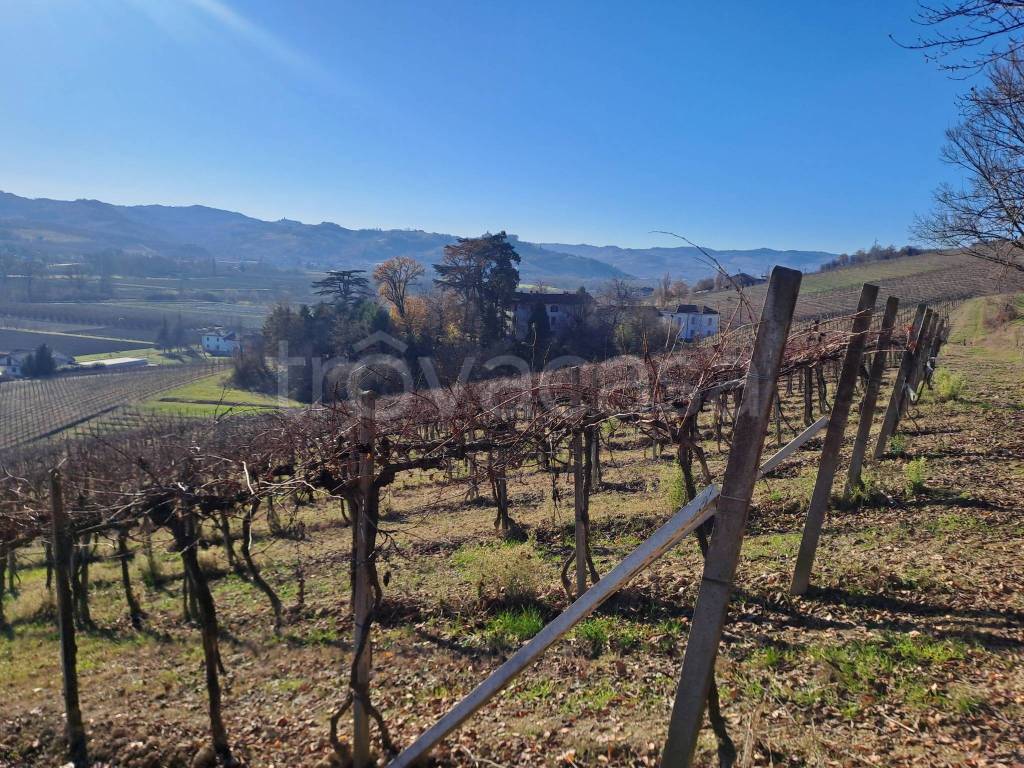 immagine annuncio 8 di 14