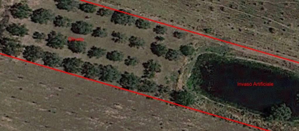 immagine annuncio 6 di 8