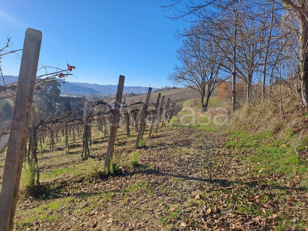 immagine annuncio 10 di 14