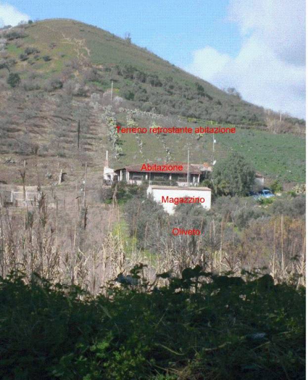 immagine annuncio 7 di 8