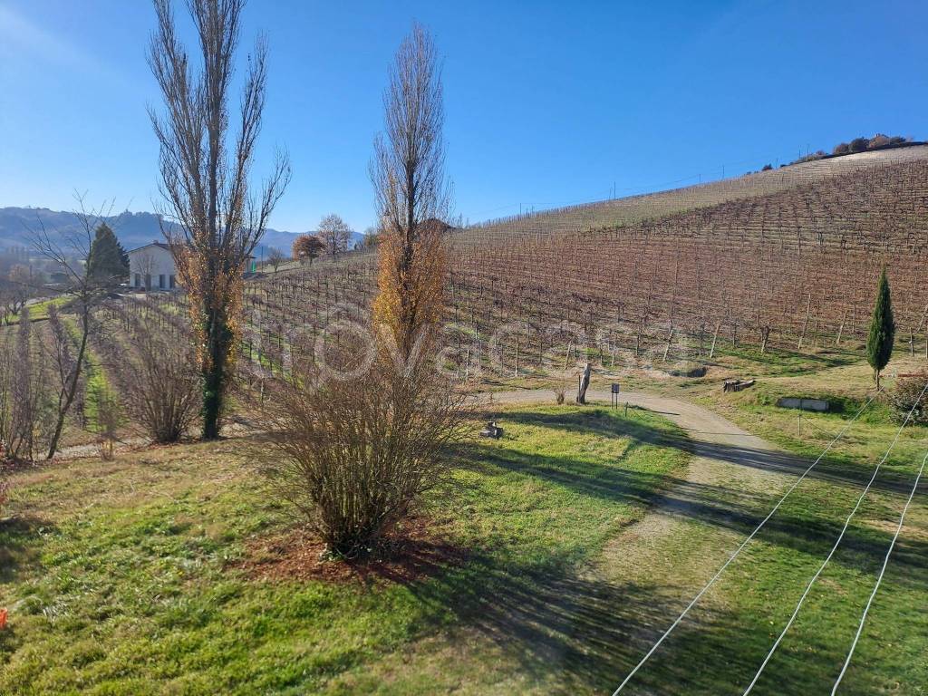 immagine annuncio 13 di 14