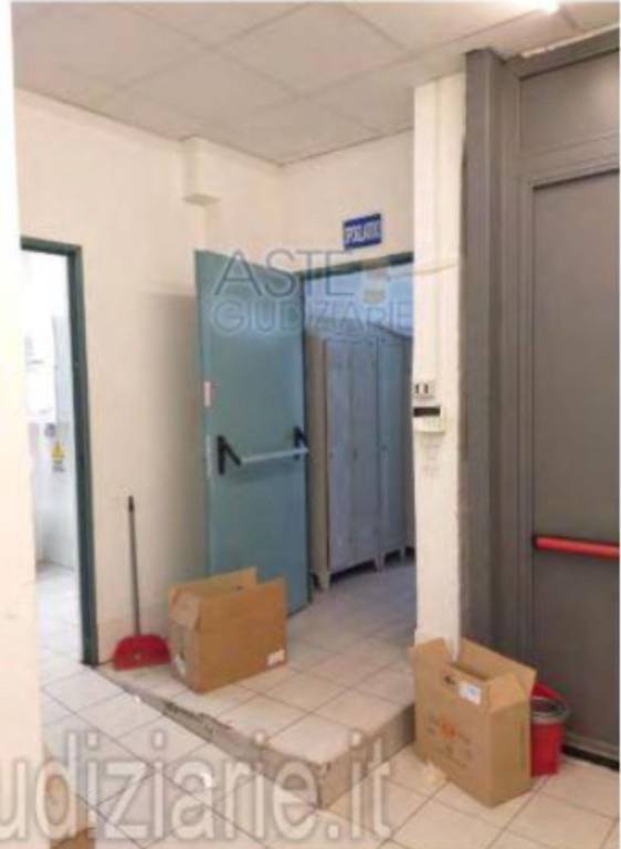 immagine annuncio 5 di 12