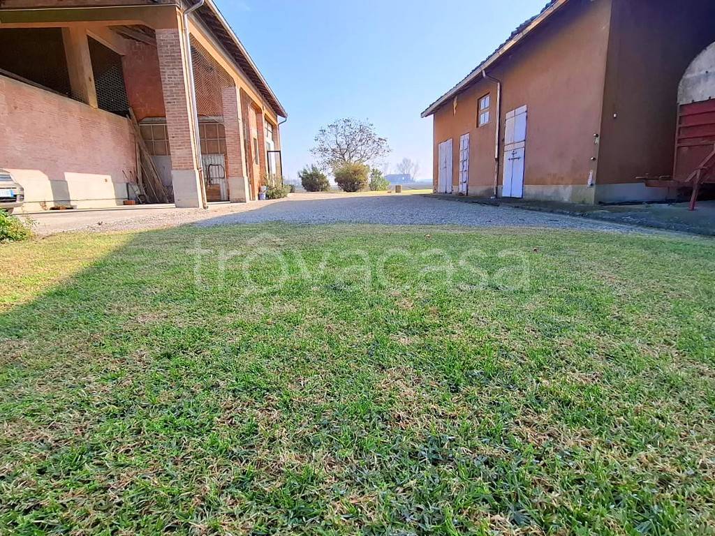 immagine annuncio 12 di 15