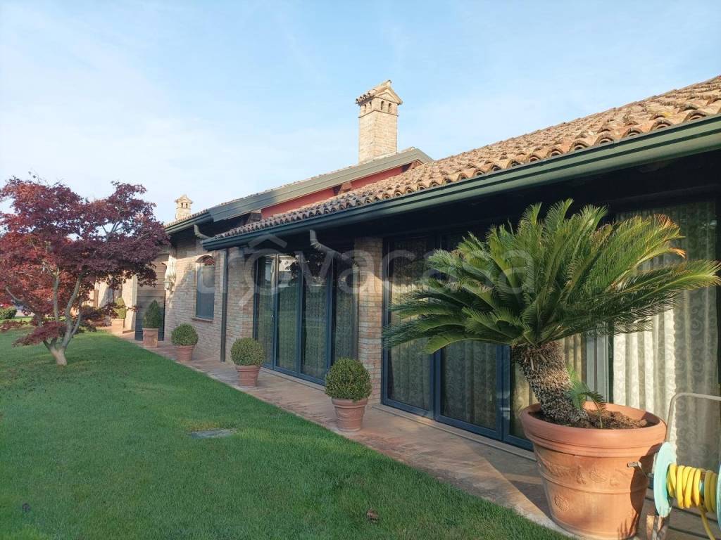 immagine annuncio 3 di 13