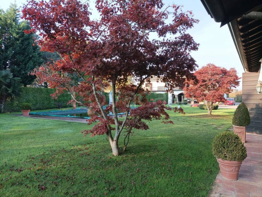 immagine annuncio 4 di 13