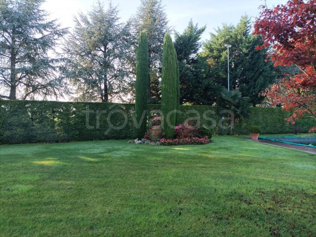 immagine annuncio 5 di 13