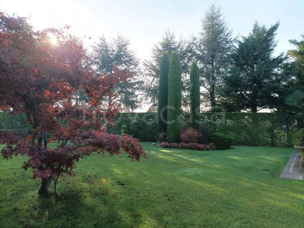 immagine annuncio 6 di 13