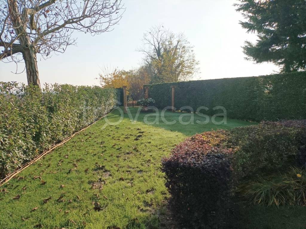 immagine annuncio 8 di 13