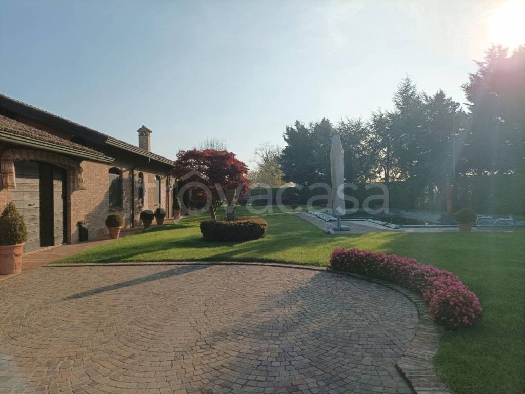 immagine annuncio 12 di 13