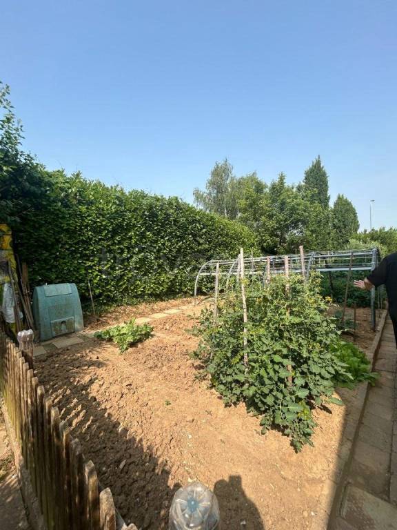 immagine annuncio 4 di 15