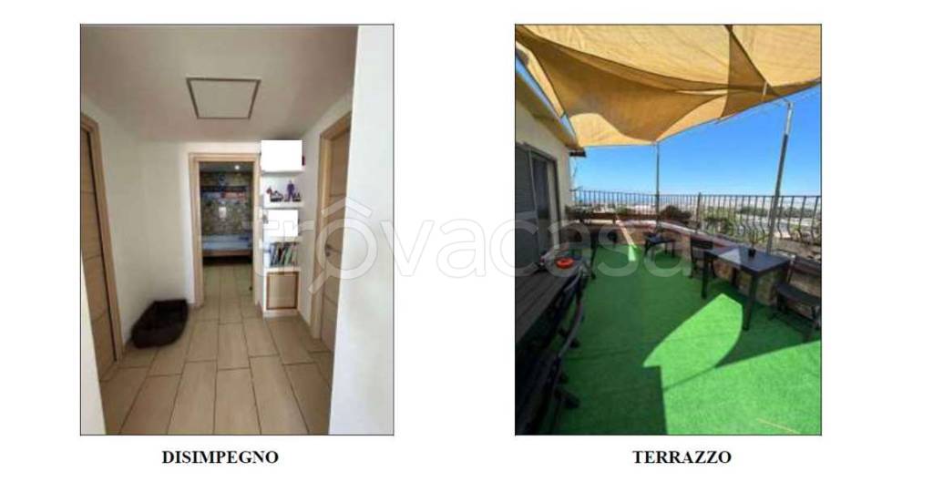 immagine annuncio 4 di 14