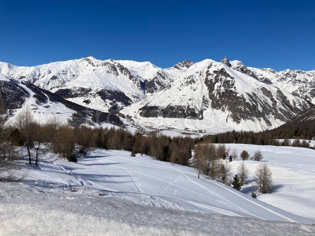 immagine annuncio 3 di 8