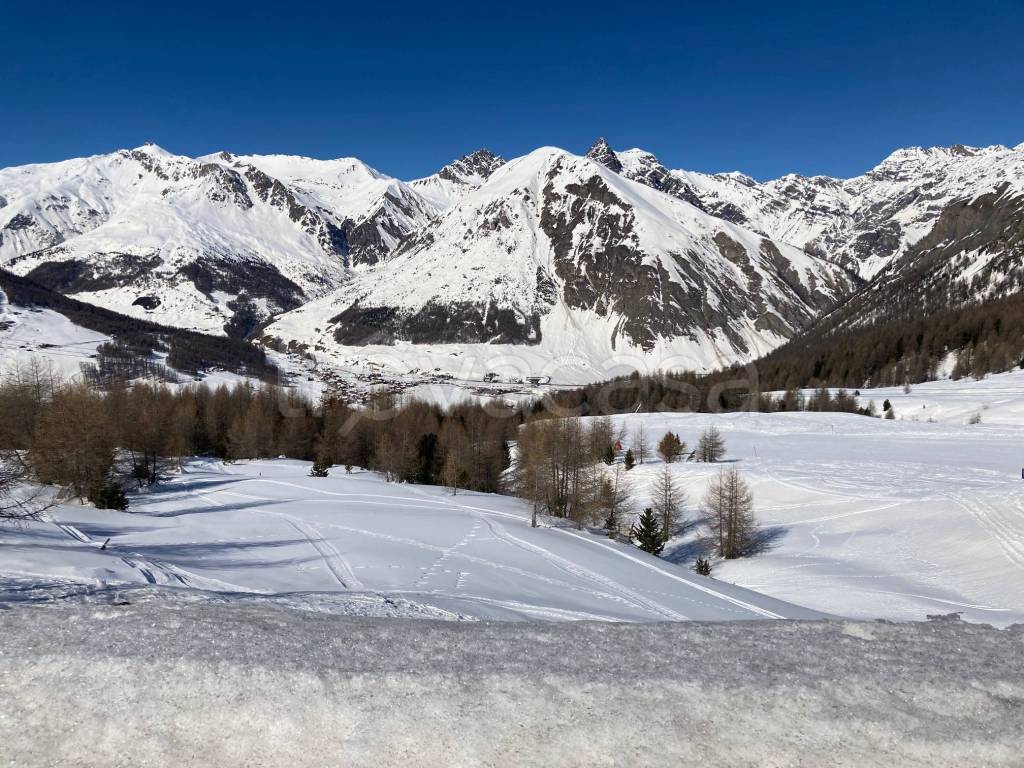 immagine annuncio 4 di 8