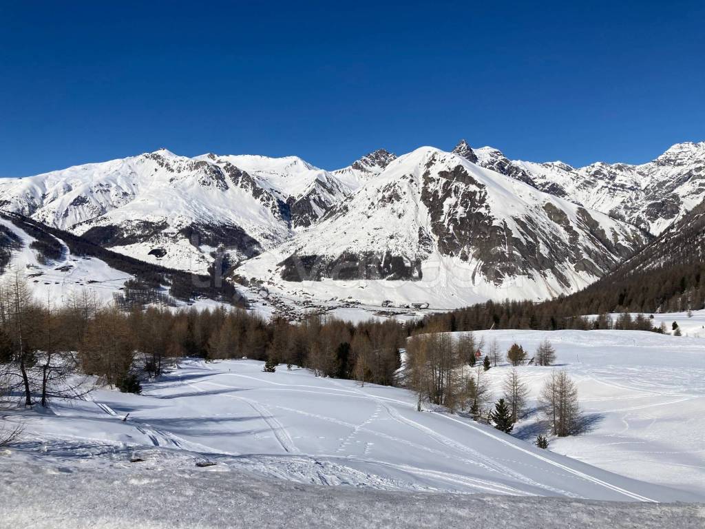 immagine annuncio 6 di 8