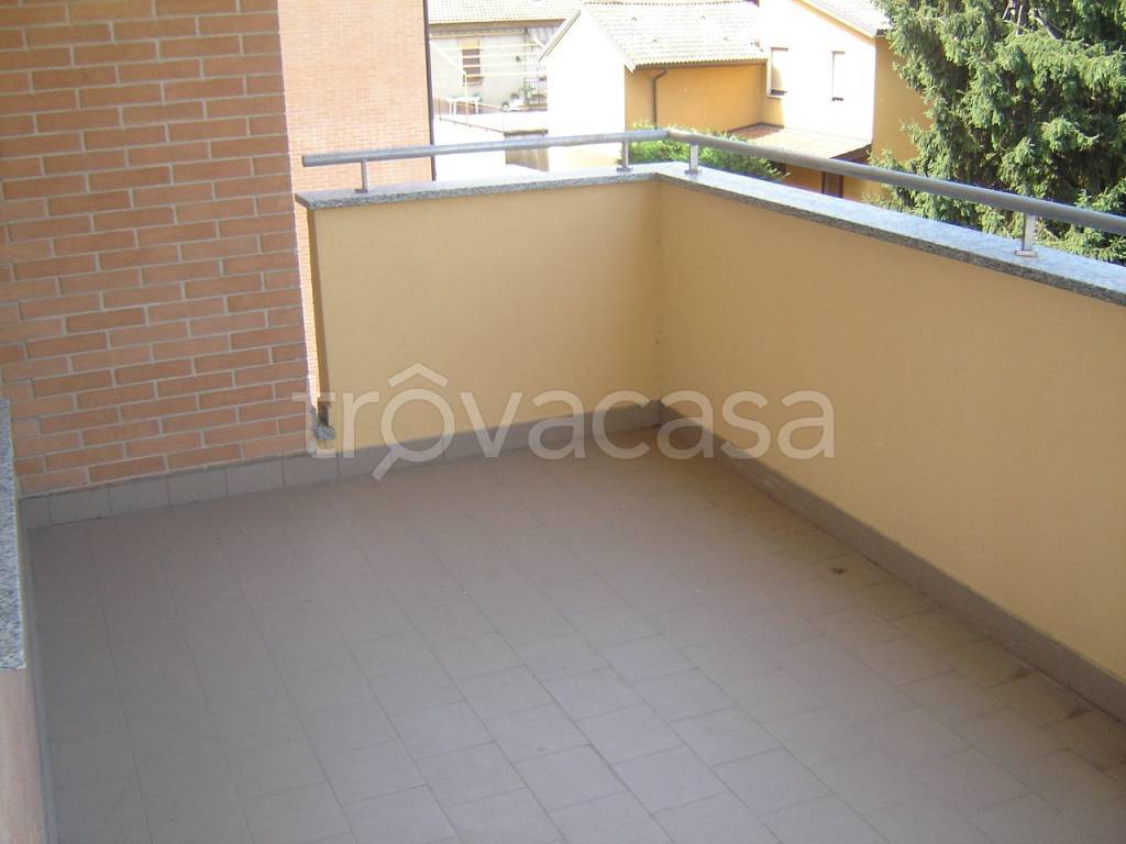 immagine annuncio 5 di 14