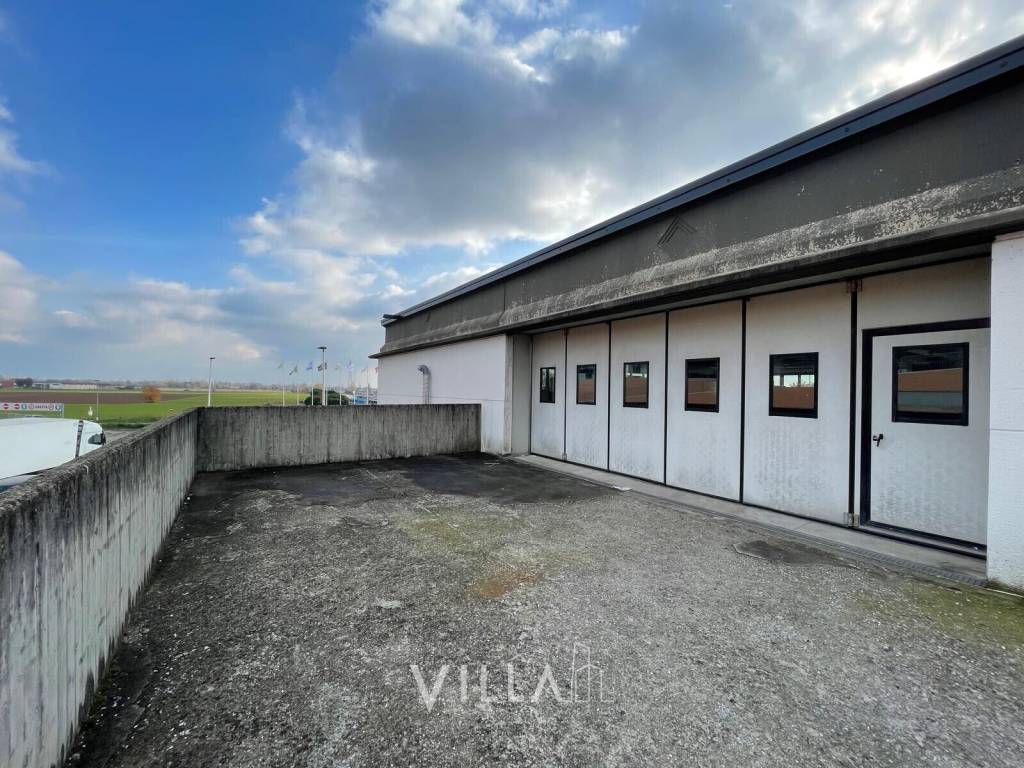 immagine annuncio 7 di 8