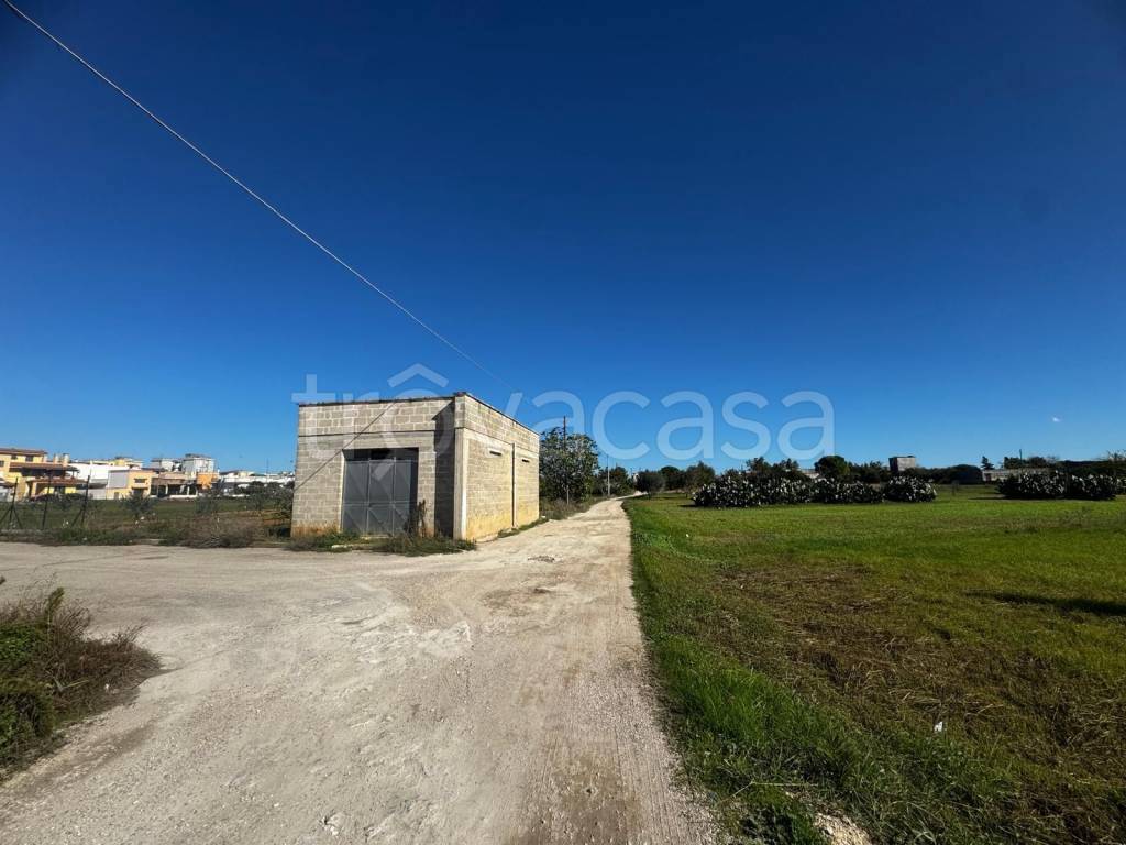 immagine annuncio 3 di 13