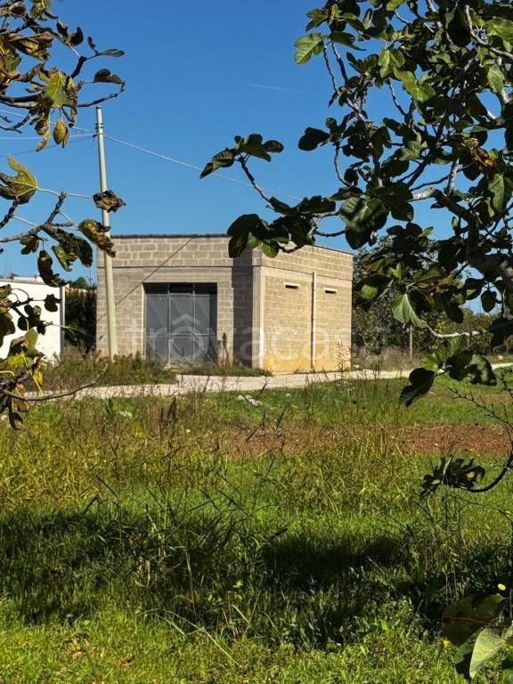 immagine annuncio 5 di 13