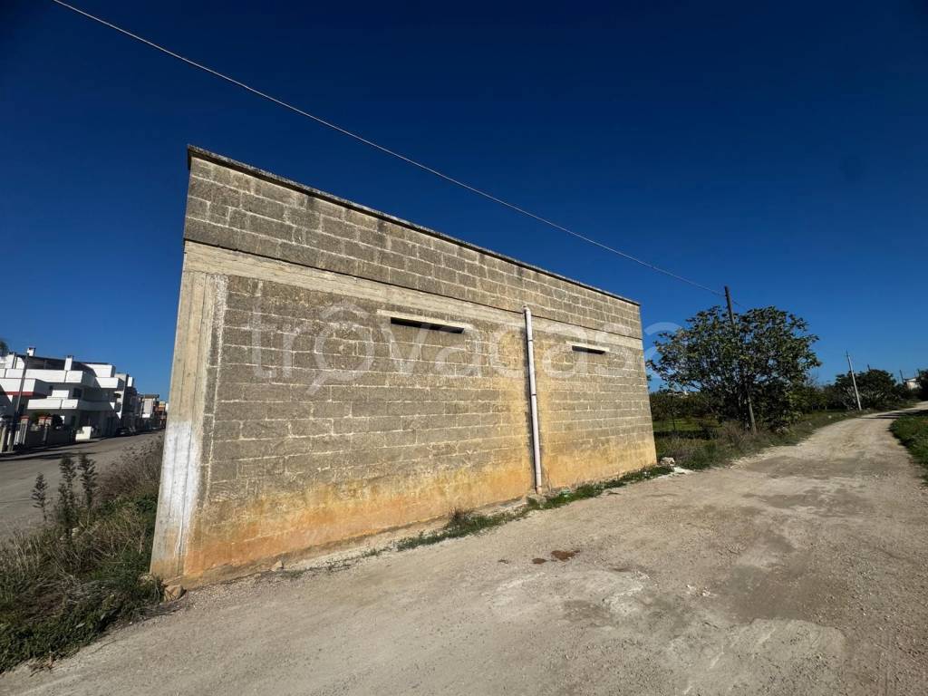 immagine annuncio 6 di 13