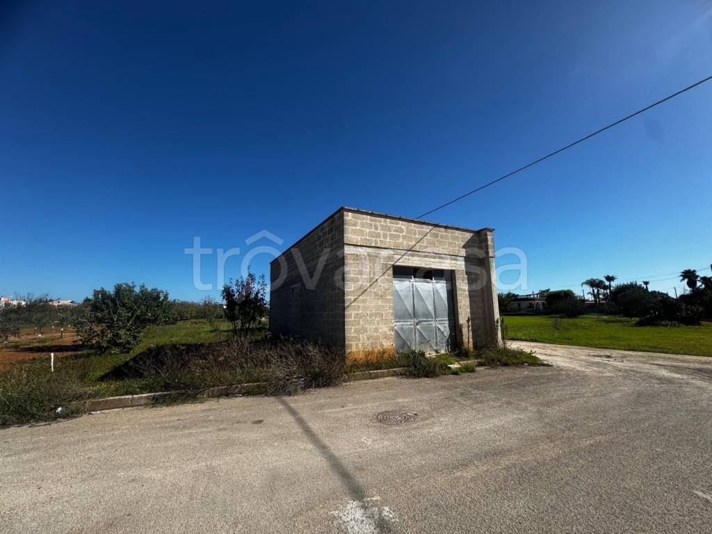 immagine annuncio 9 di 13