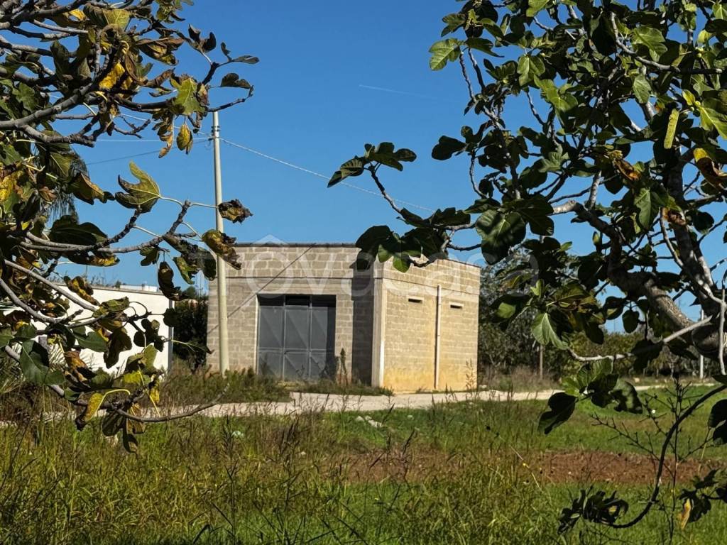 immagine annuncio 10 di 13