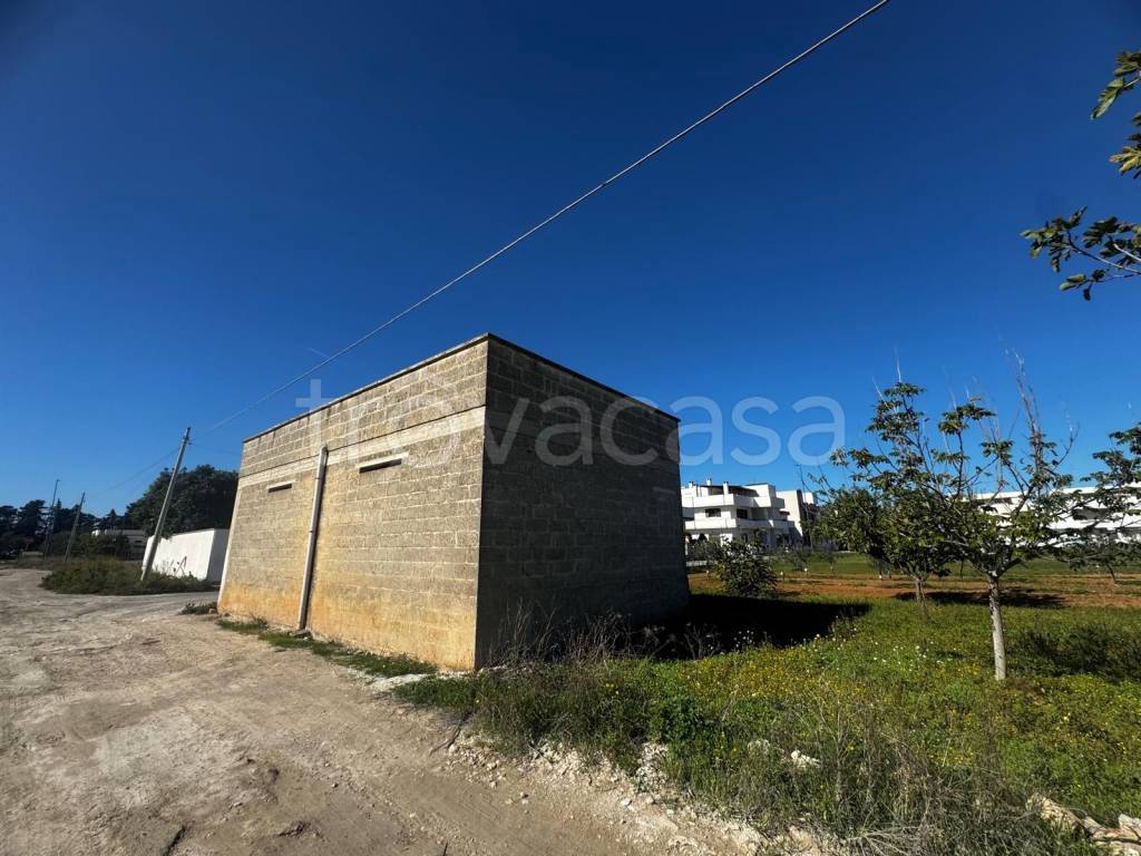 immagine annuncio 11 di 13