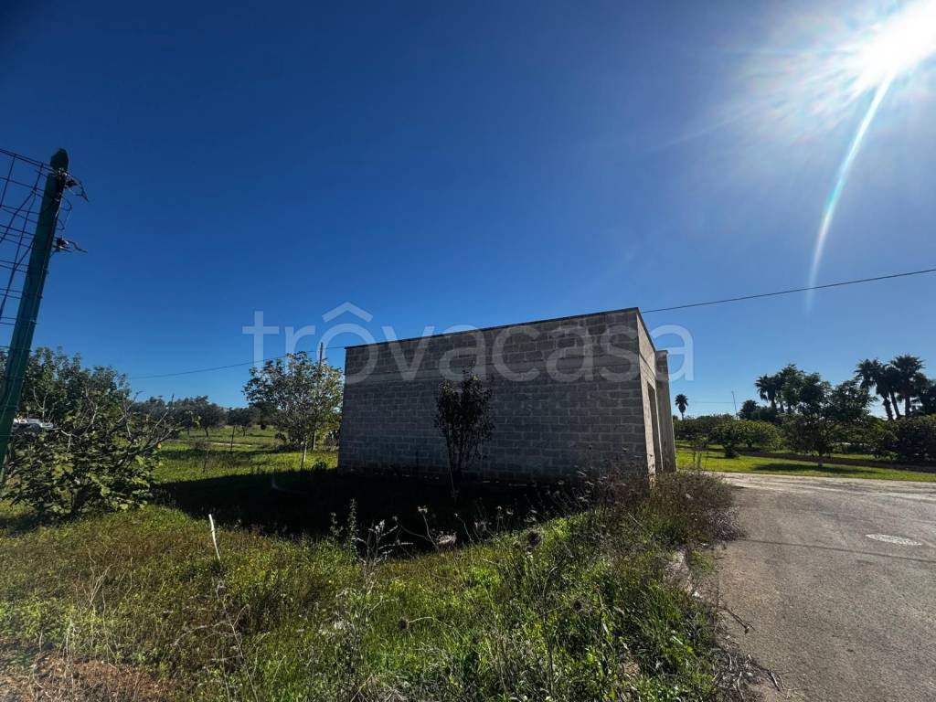 immagine annuncio 12 di 13