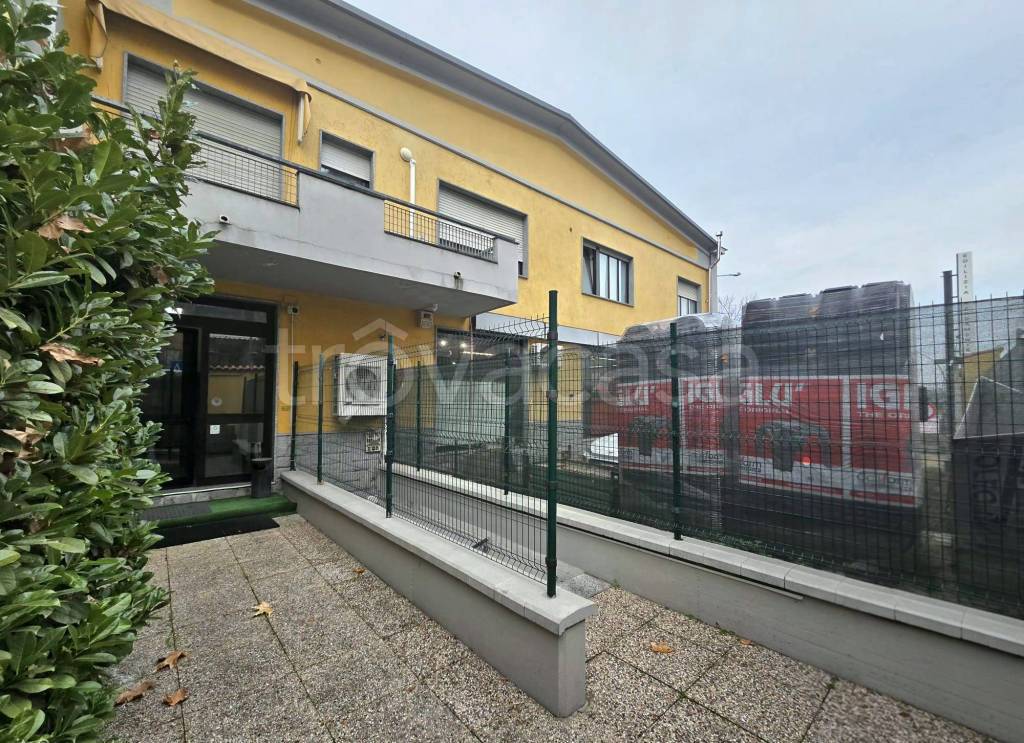 immagine annuncio 4 di 15