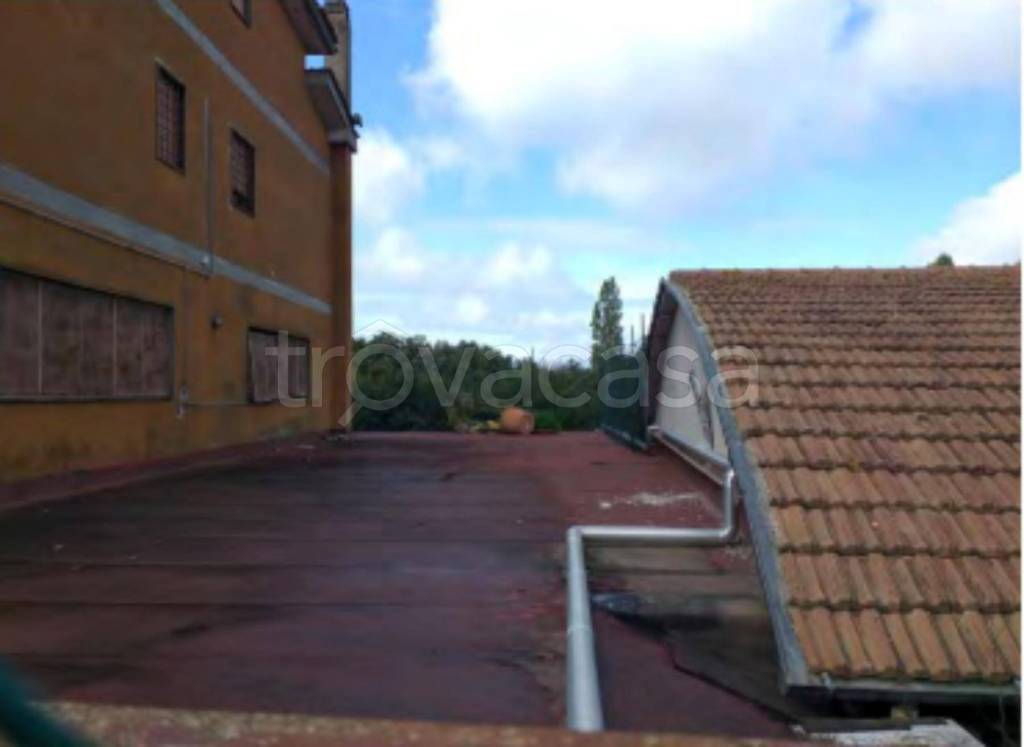 immagine annuncio 8 di 12