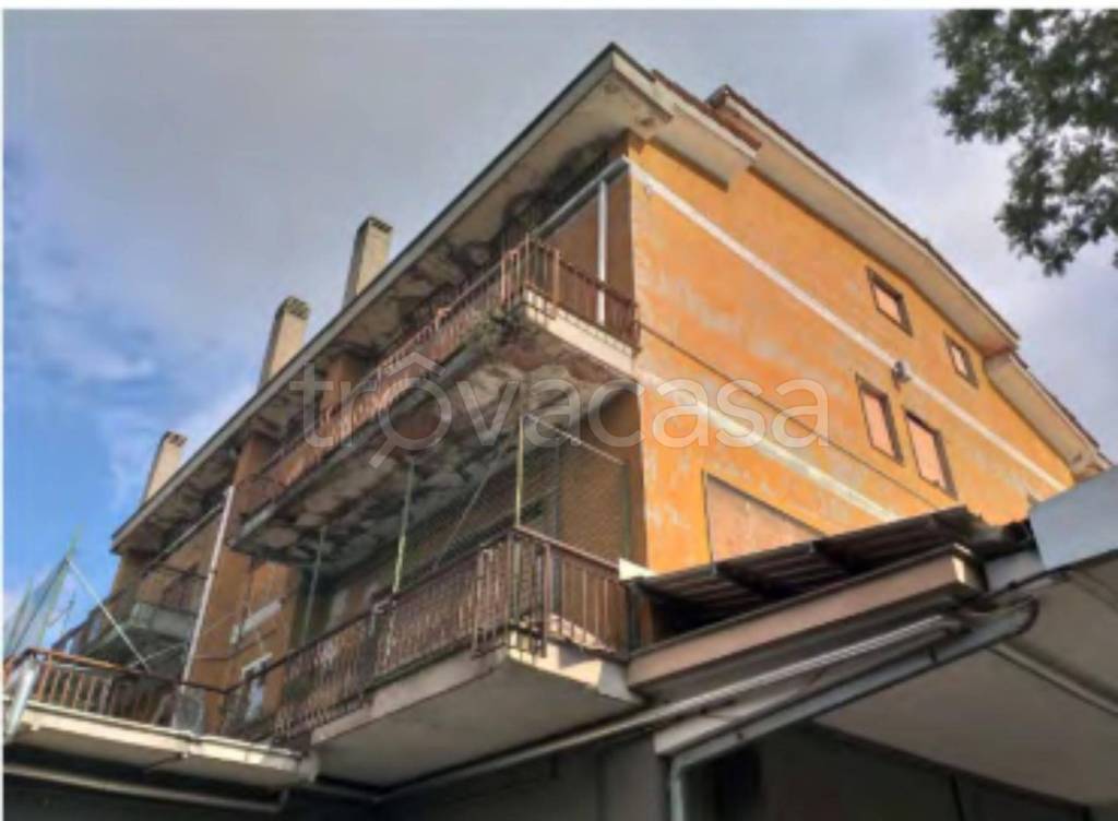 immagine annuncio 9 di 12