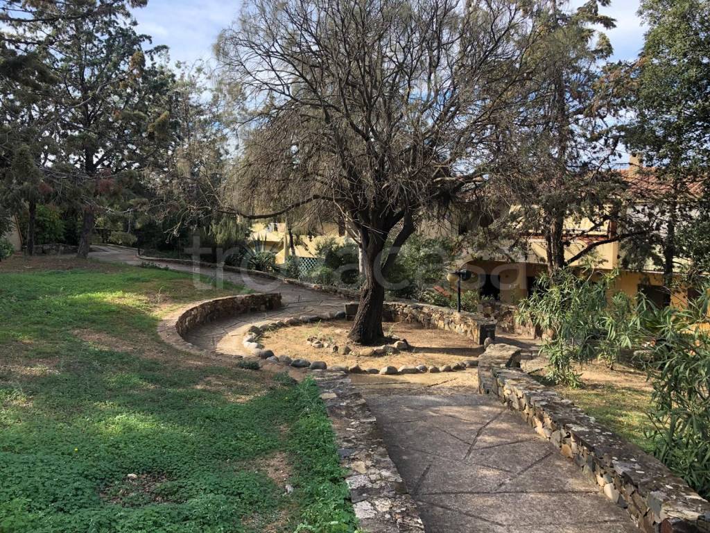 immagine annuncio 13 di 14