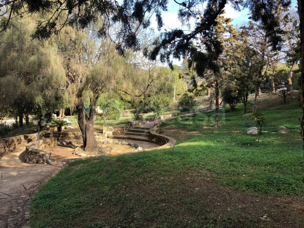 immagine annuncio 12 di 14