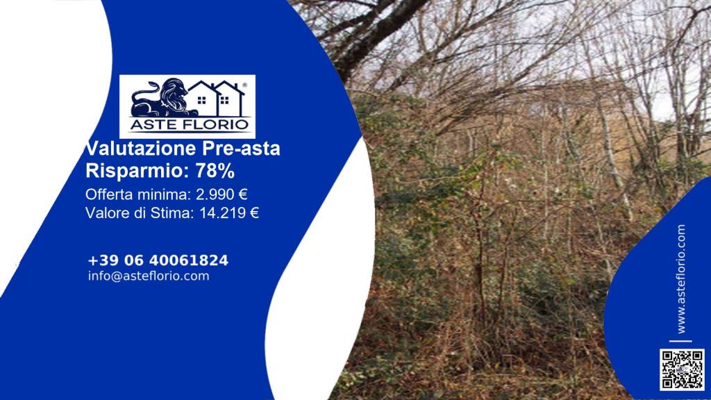 immagine annuncio 1 di 13