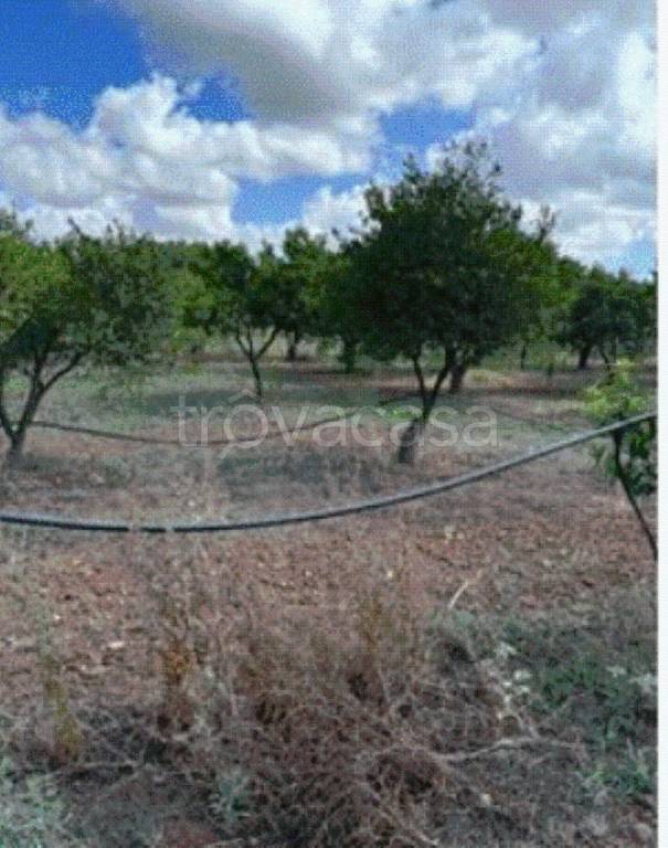 immagine annuncio 6 di 9