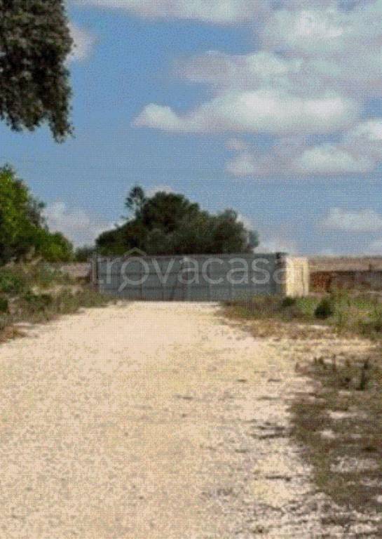 immagine annuncio 7 di 9