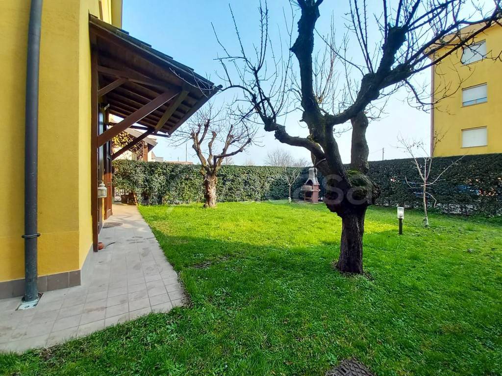 immagine annuncio 5 di 15