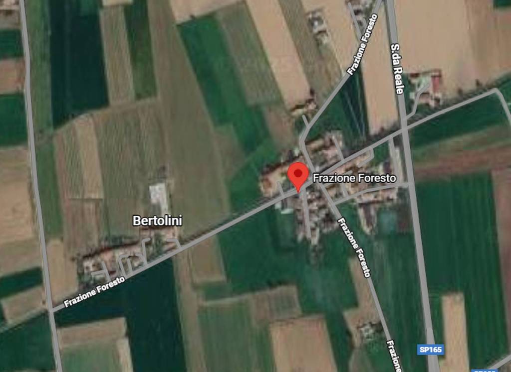 immagine annuncio 5 di 11