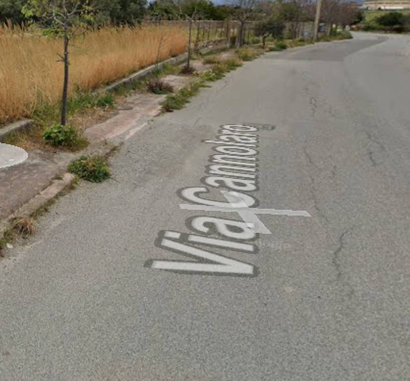 immagine annuncio 3 di 12