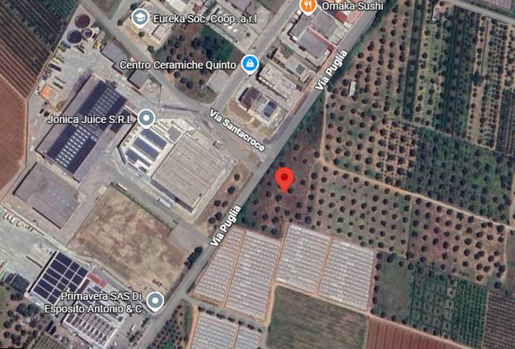 immagine annuncio 2 di 11