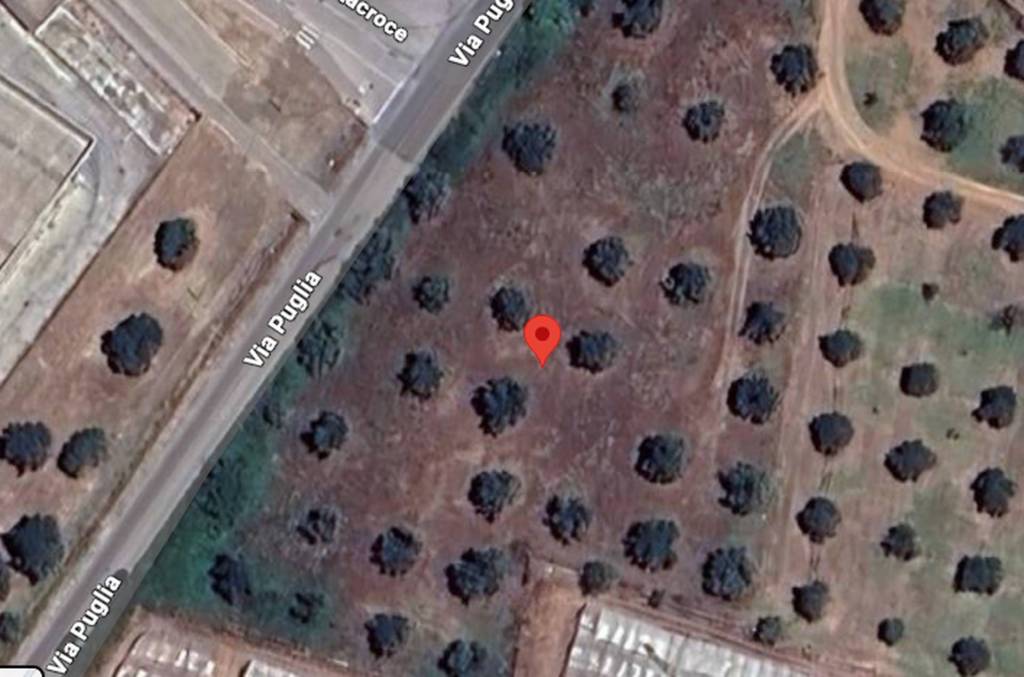 immagine annuncio 4 di 11