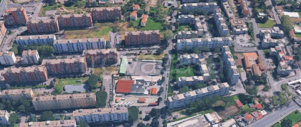 immagine annuncio 9 di 13