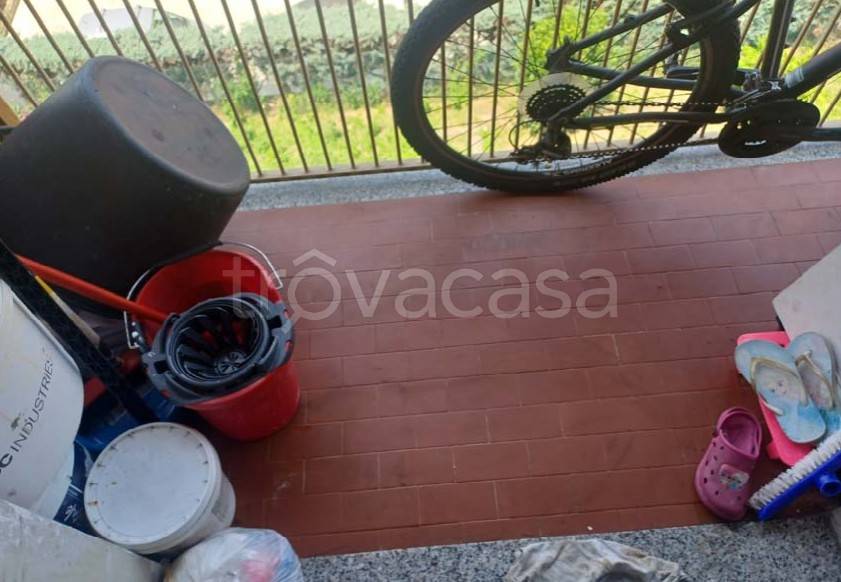 immagine annuncio 6 di 14