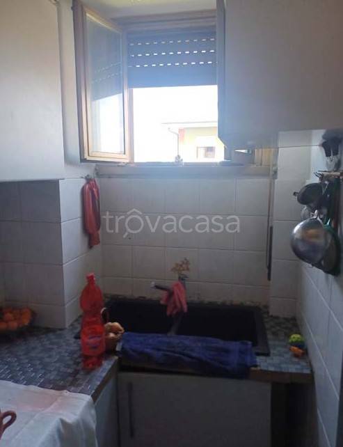 immagine annuncio 7 di 14