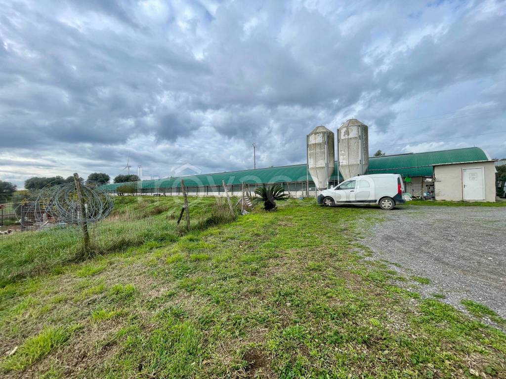 immagine annuncio 10 di 15