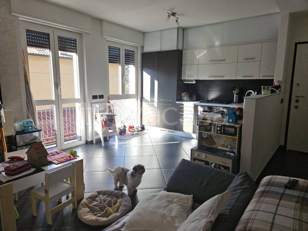 immagine annuncio 5 di 15