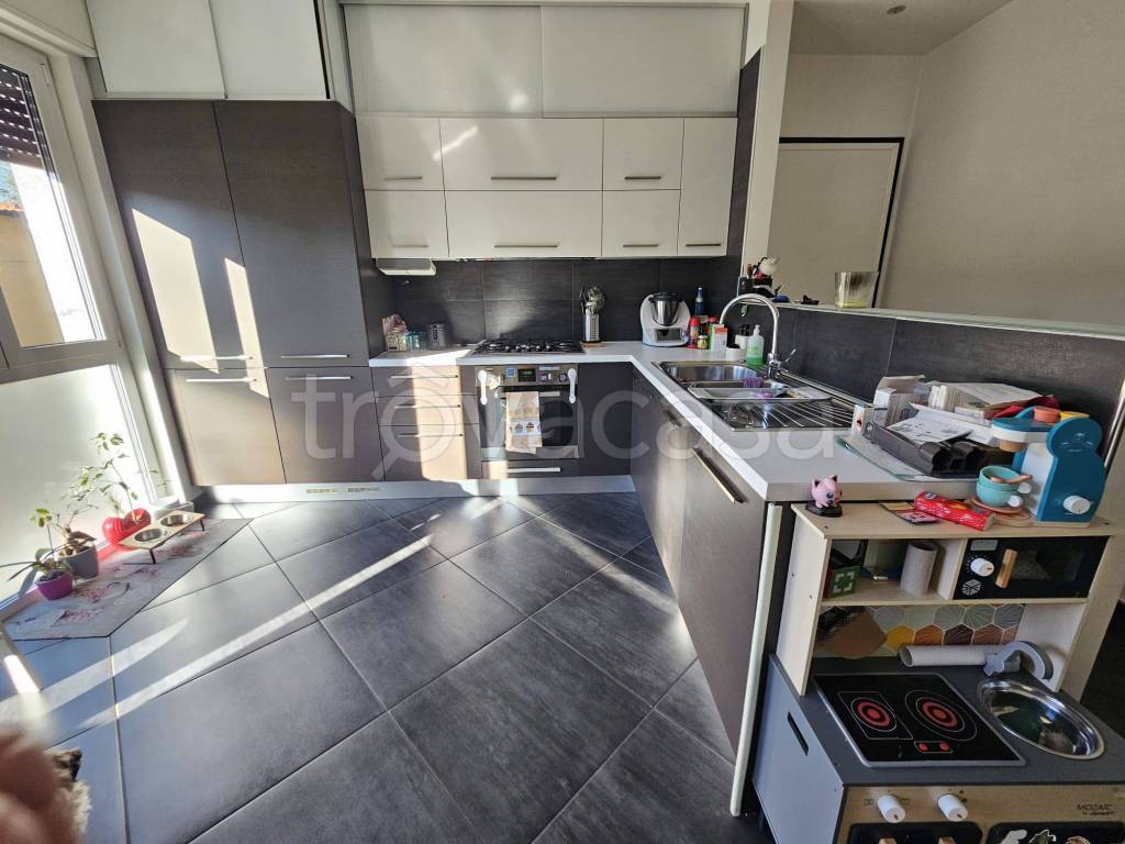 immagine annuncio 6 di 15