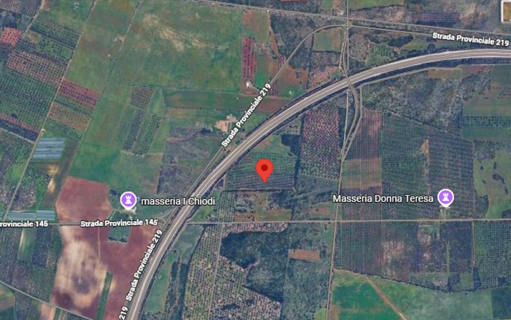 immagine annuncio 7 di 10