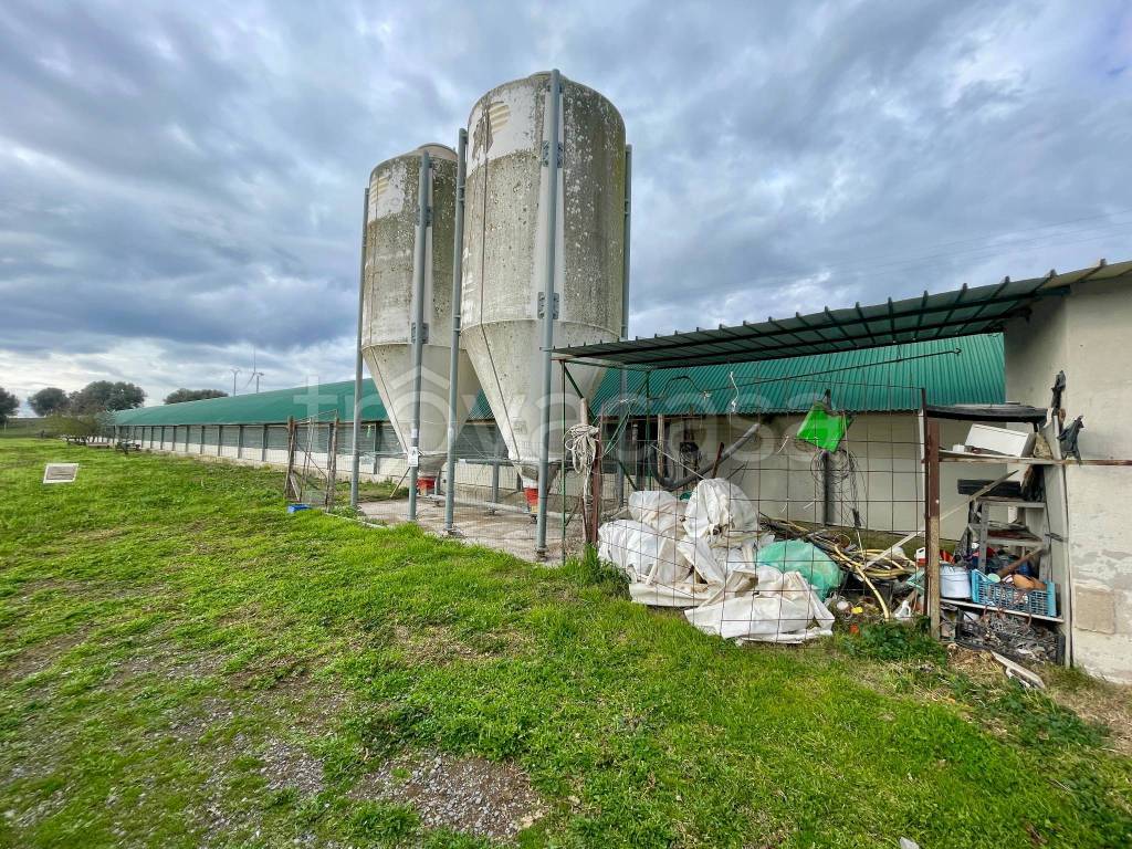 immagine annuncio 13 di 15