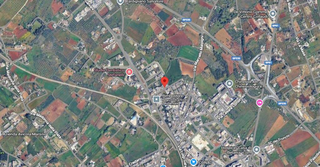 immagine annuncio 6 di 15