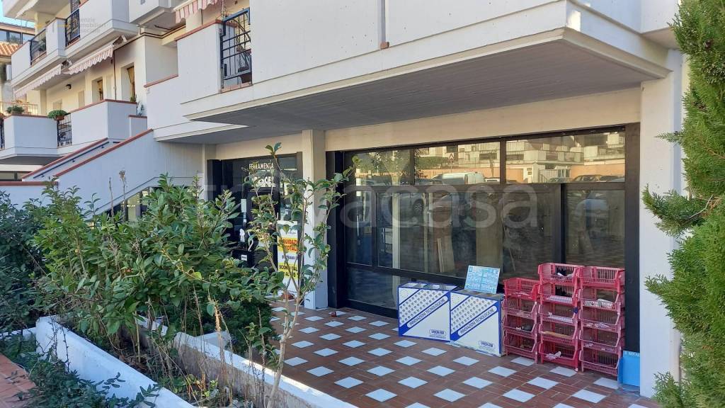 immagine annuncio 4 di 14